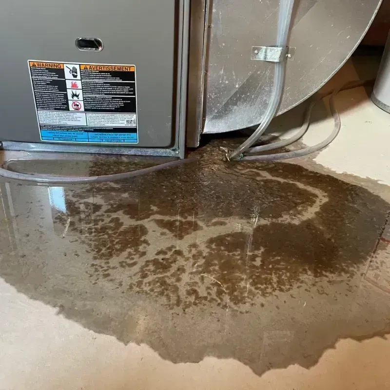 Appliance Leak Cleanup in Mentor, OH